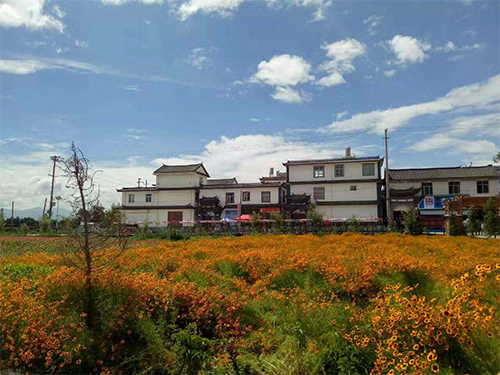 2017公司雲南旅遊